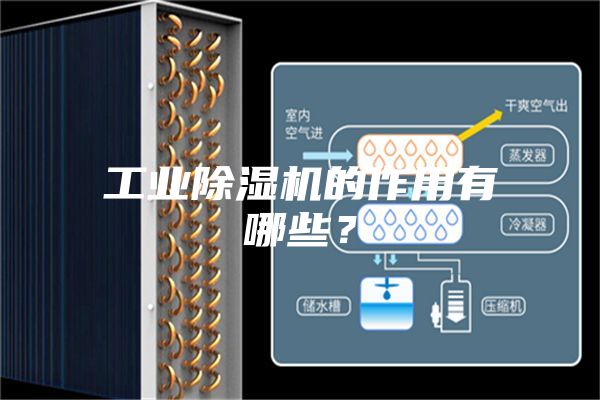 工業除濕機的作用有哪些？