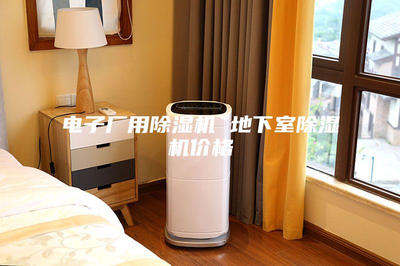 電子廠用除濕機(jī) 地下室除濕機(jī)價格