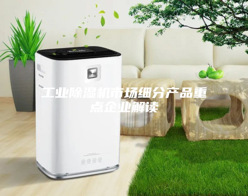 工業(yè)除濕機市場細(xì)分產(chǎn)品重點企業(yè)解讀
