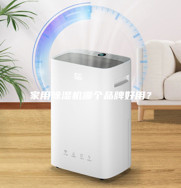 家用除濕機(jī)哪個(gè)品牌好用？