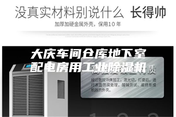 大慶車間倉庫地下室配電房用工業(yè)除濕機