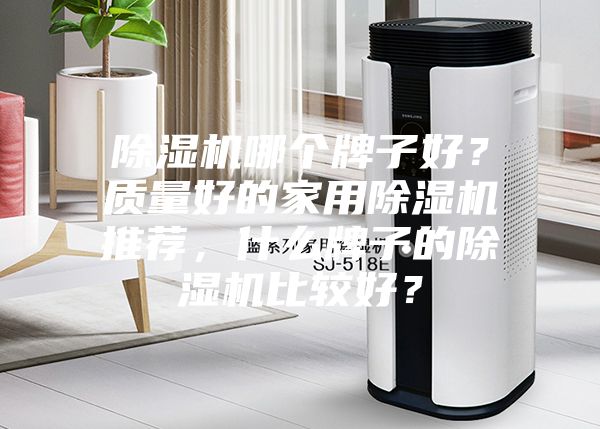 除濕機哪個牌子好？質量好的家用除濕機推薦，什么牌子的除濕機比較好？