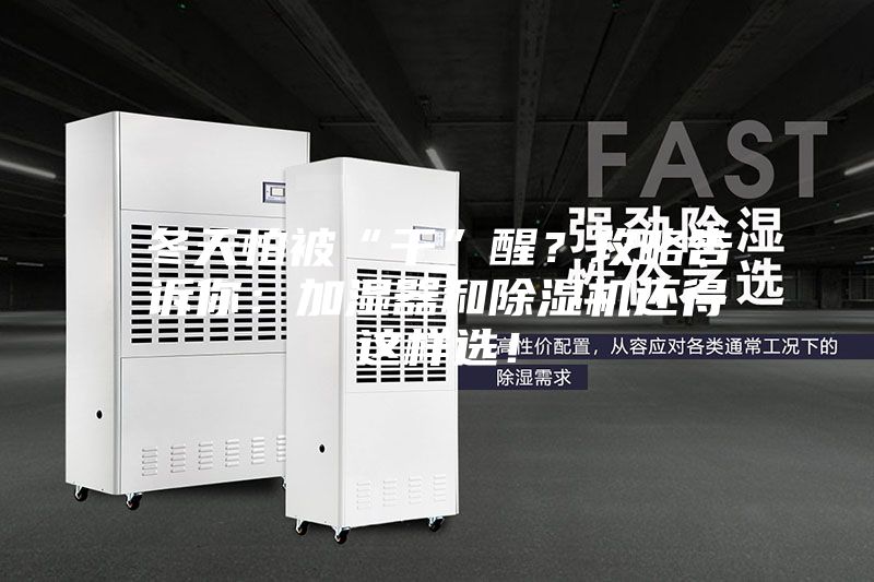 冬天怕被“干”醒？攻略告訴你：加濕器和除濕機還得這樣選！