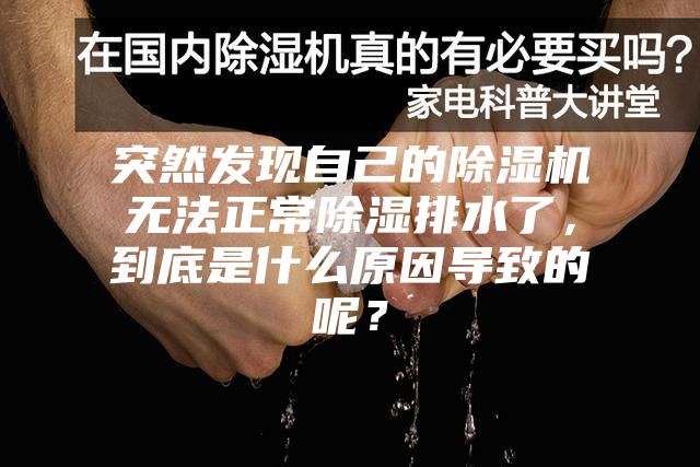 突然發(fā)現(xiàn)自己的除濕機(jī)無(wú)法正常除濕排水了，到底是什么原因?qū)е碌哪兀?></div>
								<div   id=