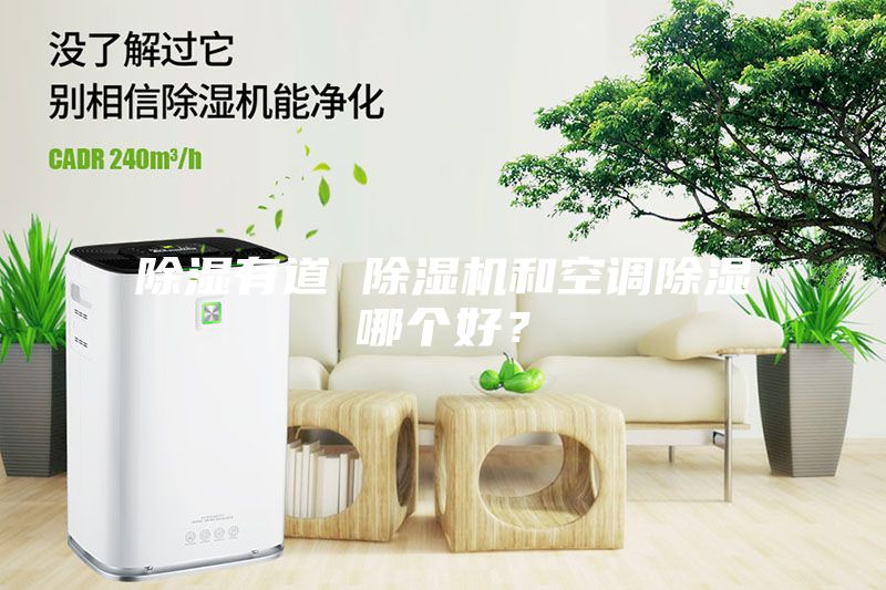 除濕有道 除濕機(jī)和空調(diào)除濕哪個(gè)好？