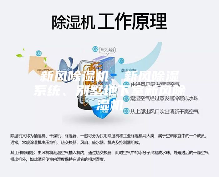 新風(fēng)除濕機、新風(fēng)除濕系統(tǒng)、別墅地下室新風(fēng)除濕機