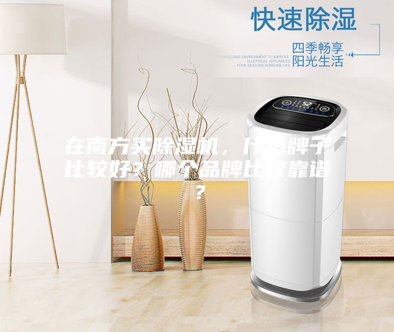 在南方買除濕機，什么牌子比較好？哪個品牌比較靠譜？