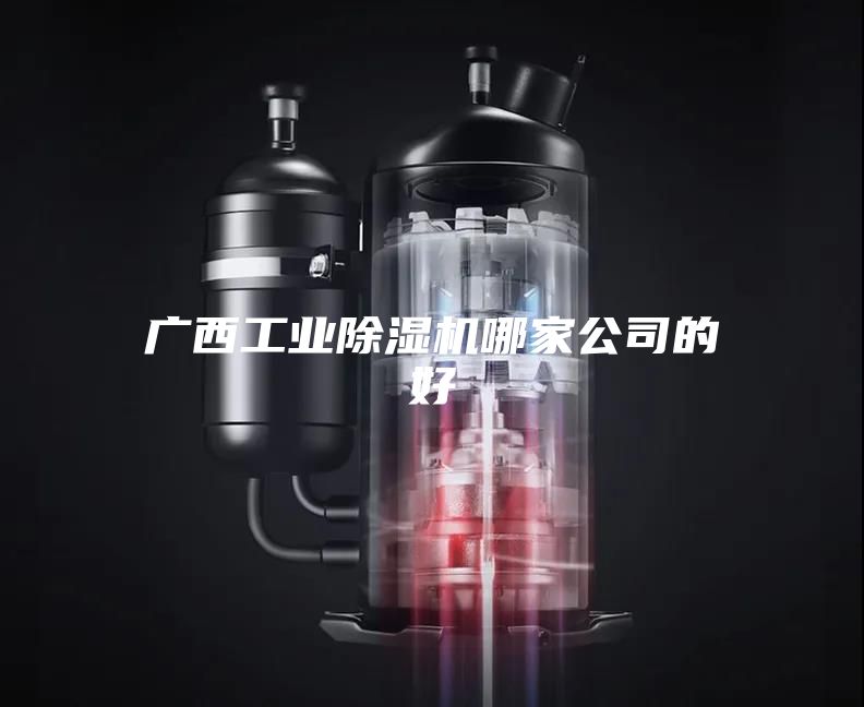 廣西工業(yè)除濕機(jī)哪家公司的好
