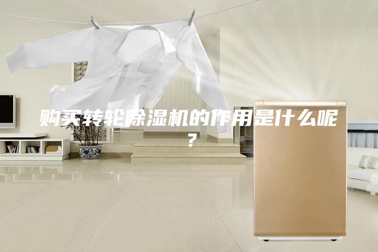 購買轉(zhuǎn)輪除濕機的作用是什么呢？
