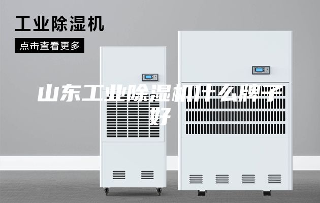 山東工業(yè)除濕機什么牌子好