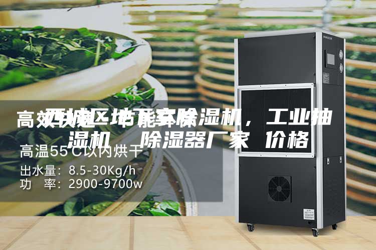 西城區地下室除濕機，工業抽濕機  除濕器廠家 價格