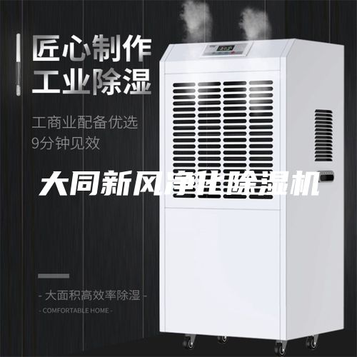大同新風(fēng)凈化除濕機
