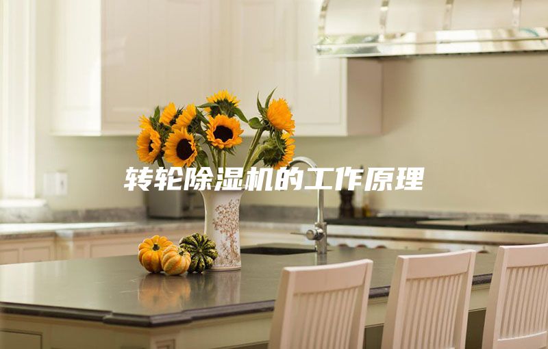 轉輪除濕機的工作原理