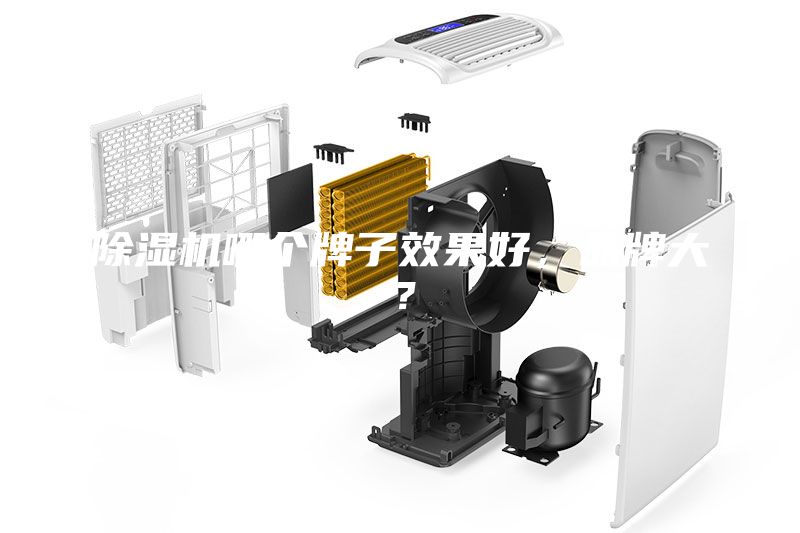 除濕機哪個牌子效果好，品牌大？