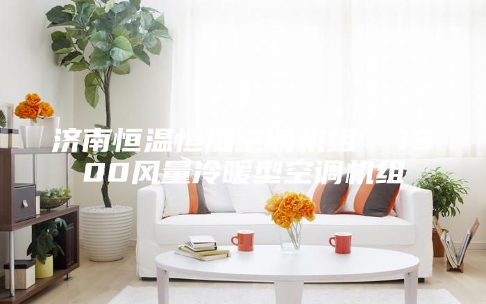 濟(jì)南恒溫恒濕空調(diào)機(jī)組  1500風(fēng)量冷暖型空調(diào)機(jī)組