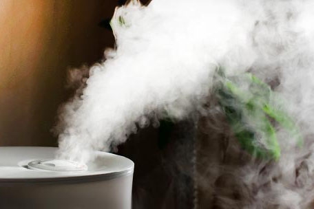 對抗梅雨季節潮濕，家用除濕機為您解決煩惱！