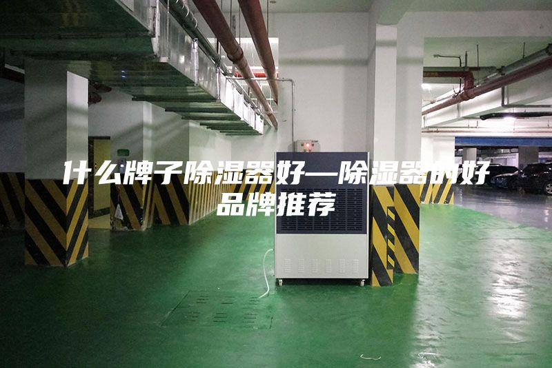 什么牌子除濕器好—除濕器的好品牌推薦