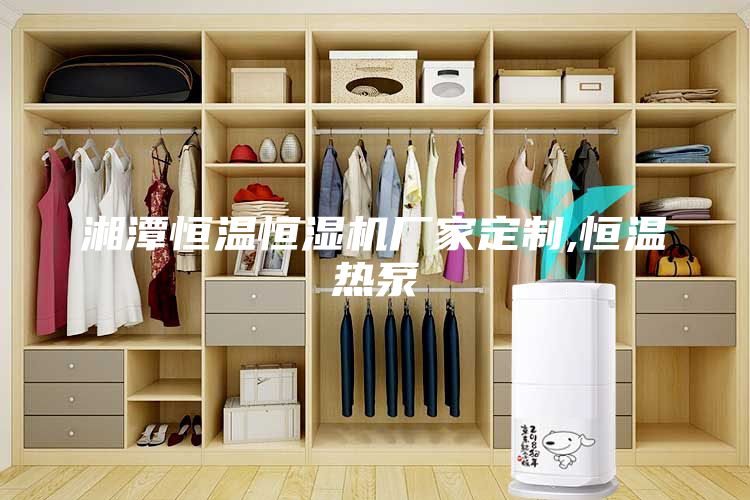 湘潭恒溫恒濕機(jī)廠家定制,恒溫?zé)岜?/></p>
                            <p style=