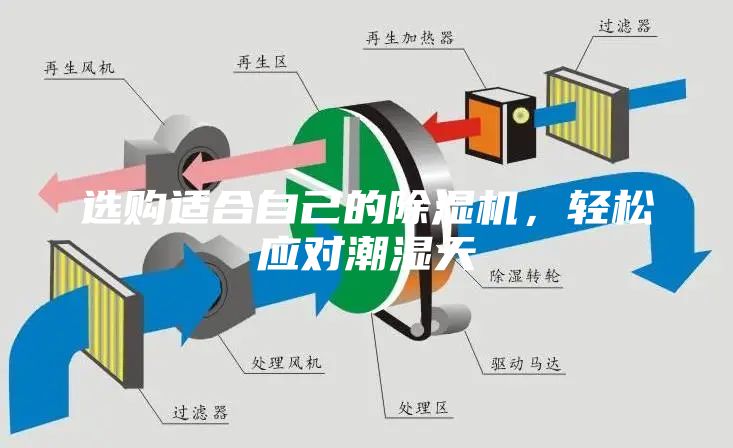 選購適合自己的除濕機(jī)，輕松應(yīng)對潮濕天