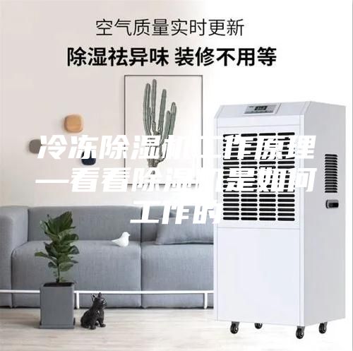 冷凍除濕機工作原理—看看除濕機是如何工作的