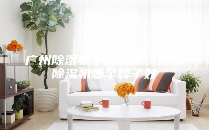 廣州除濕機(jī)十大品牌，廣州除濕機(jī)哪個(gè)牌子好