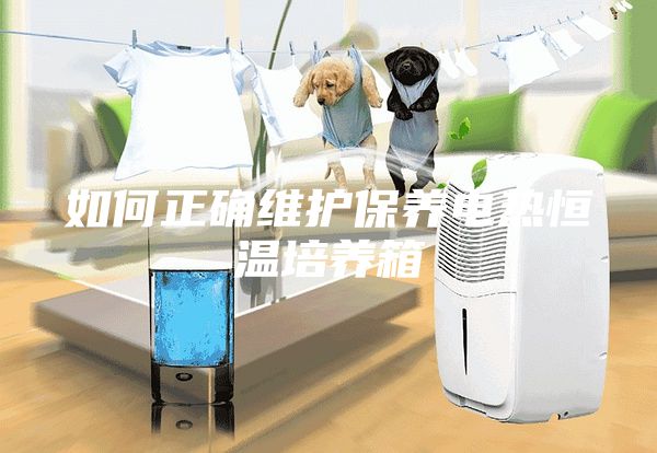 如何正確維護保養電熱恒溫培養箱