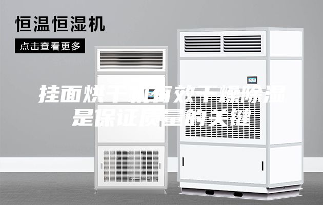 掛面烘干機有效干燥除濕是保證質量的關鍵