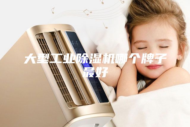 大型工業除濕機哪個牌子最好