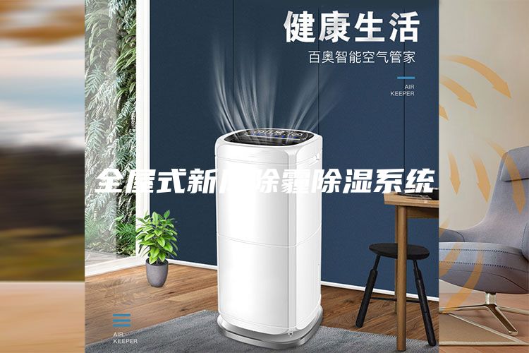 全屋式新風除霾除濕系統(tǒng)