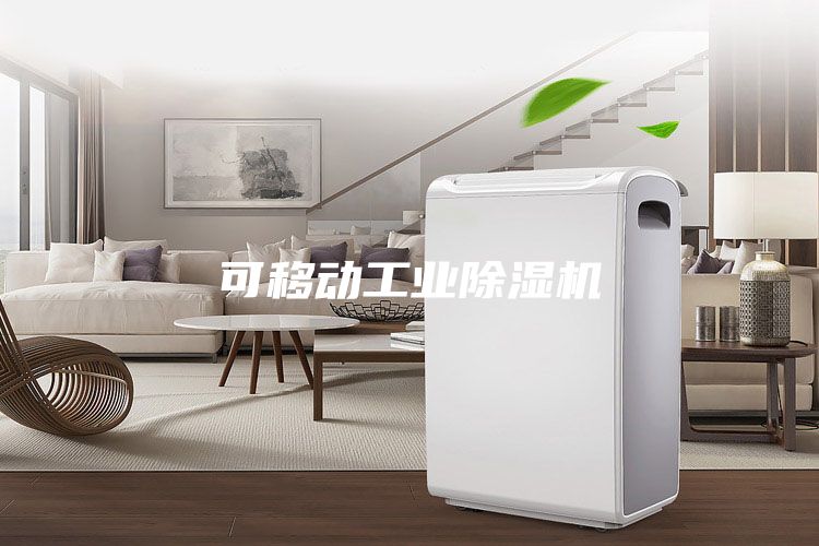 可移動工業(yè)除濕機(jī)