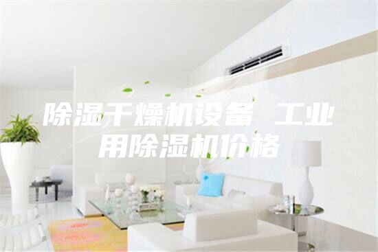 除濕干燥機設備 工業用除濕機價格