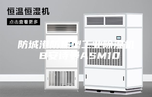 防城港防爆型工業(yè)除濕機(jī) B安詩(shī)曼ASM10