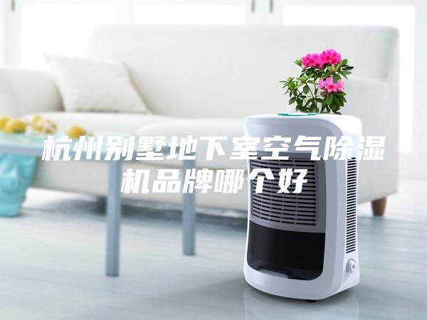 杭州別墅地下室空氣除濕機(jī)品牌哪個(gè)好