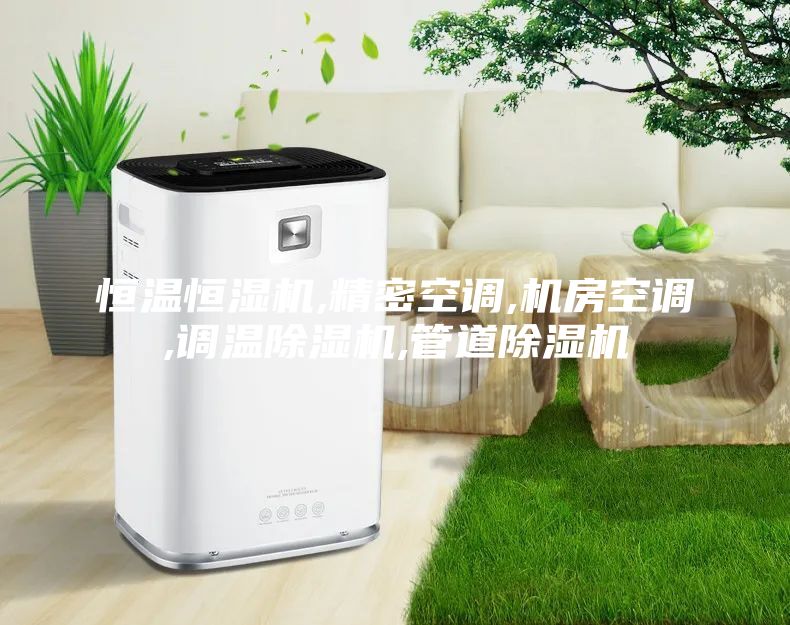 恒溫恒濕機(jī),精密空調(diào),機(jī)房空調(diào),調(diào)溫除濕機(jī),管道除濕機(jī)