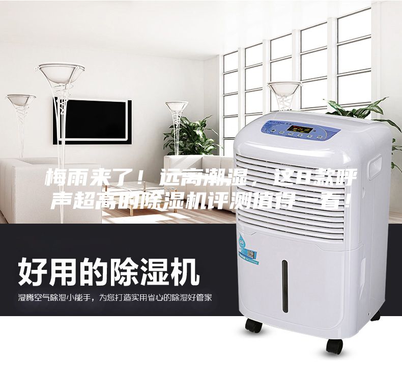 梅雨來了！遠離潮濕，這8款呼聲超高的除濕機評測值得一看！