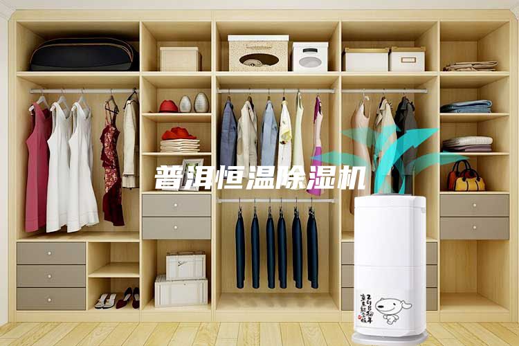 普洱恒溫除濕機