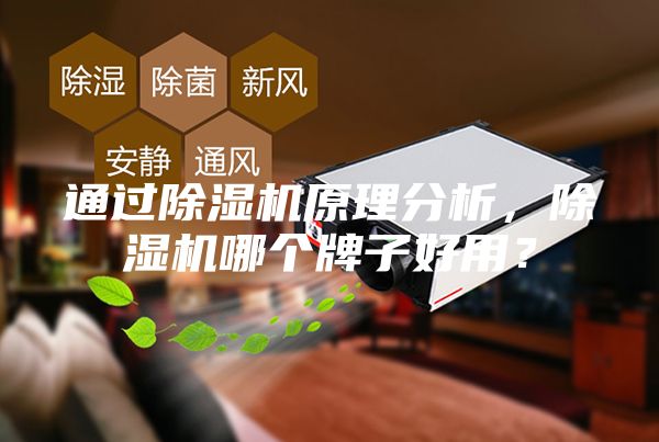 通過除濕機原理分析，除濕機哪個牌子好用？