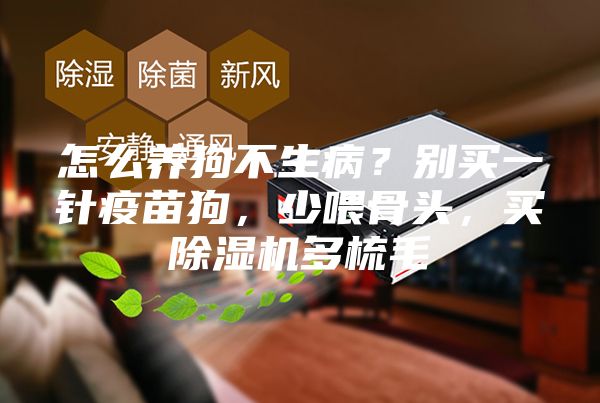 怎么養(yǎng)狗不生?。縿e買一針疫苗狗，少喂骨頭，買除濕機多梳毛