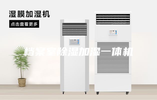 檔案室除濕加濕一體機