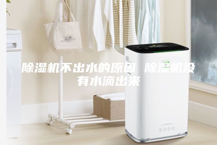 除濕機不出水的原因 除濕機沒有水滴出來