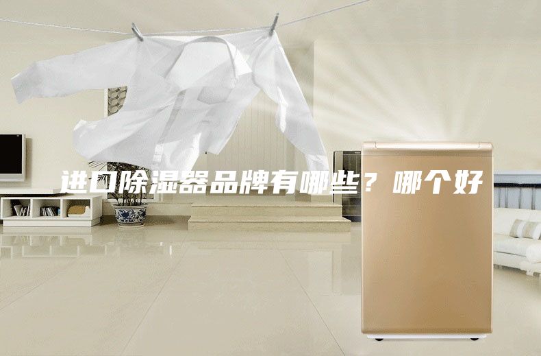 進(jìn)口除濕器品牌有哪些？哪個好