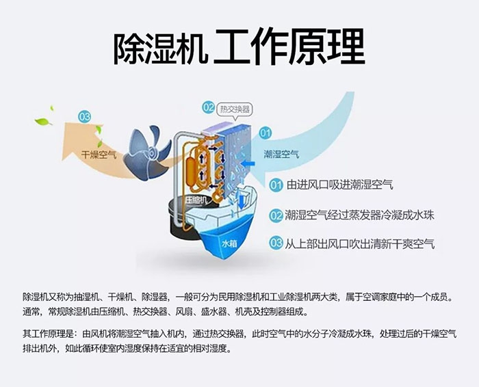 蜈蚣出沒潮濕區(qū)，安詩曼除濕機(jī)消除蜈蚣隱患