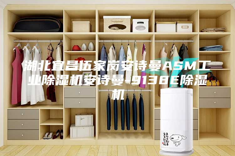 湖北宜昌伍家崗安詩曼ASM工業除濕機安詩曼-9138E除濕機