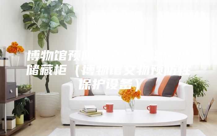 博物館預防性專用恒溫恒濕儲藏柜（博物館文物預防性保護設備）