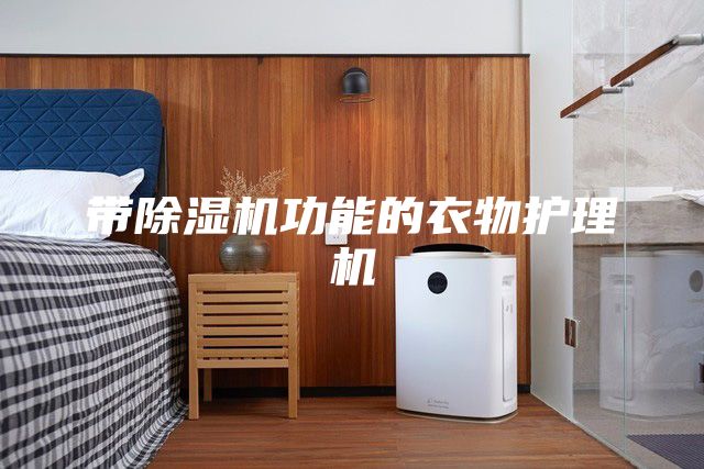 帶除濕機(jī)功能的衣物護(hù)理機(jī)