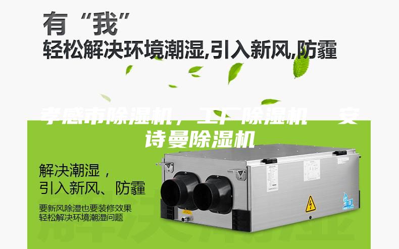 孝感市除濕機，工廠除濕機  安詩曼除濕機