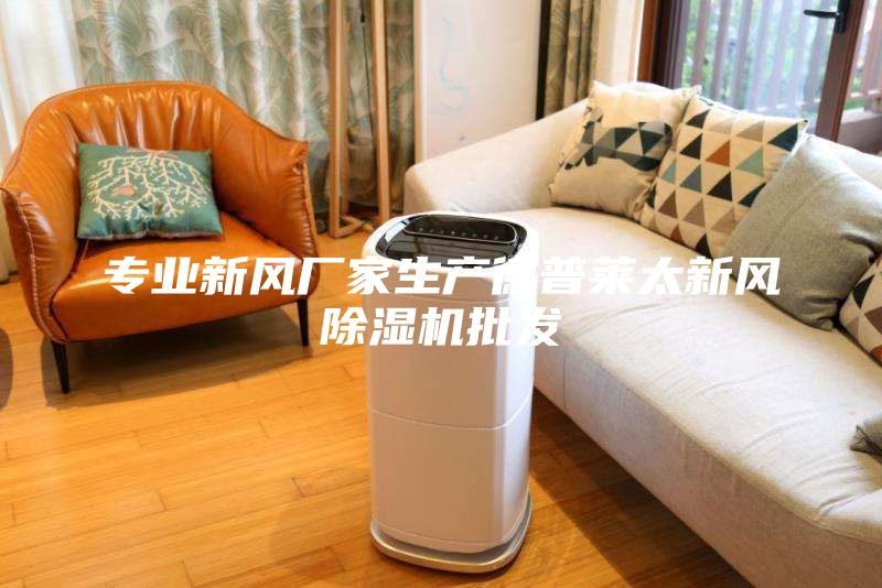 專業新風廠家生產德普萊太新風除濕機批發