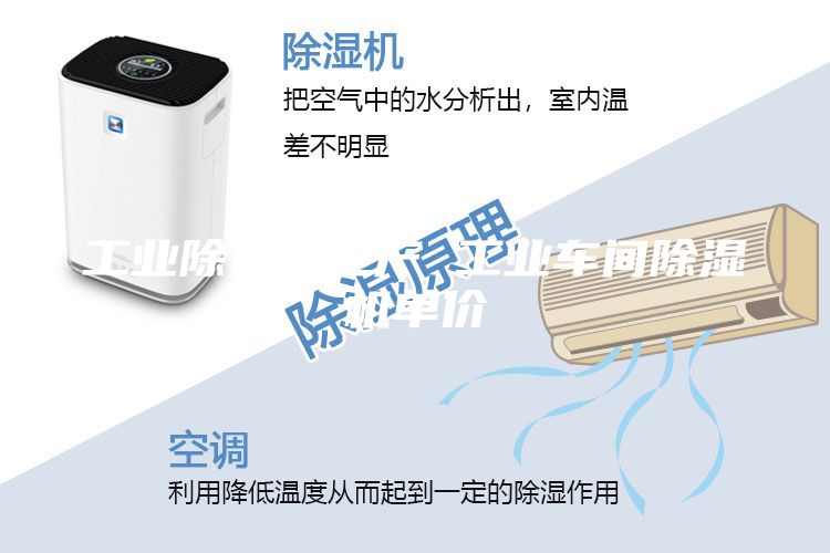 工業(yè)除濕機(jī)生產(chǎn) 工業(yè)車間除濕機(jī)單價(jià)
