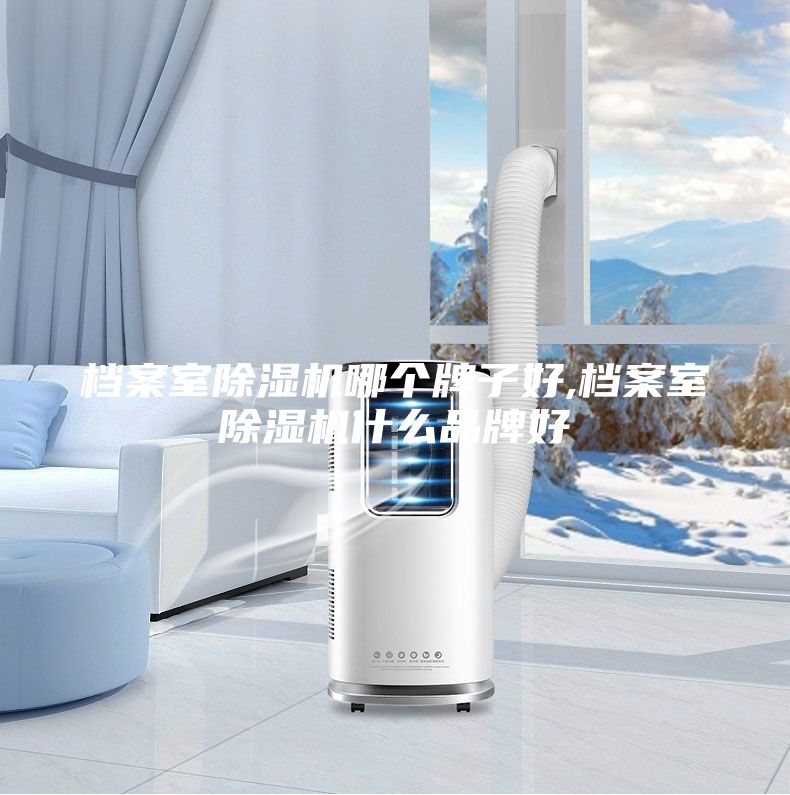 檔案室除濕機哪個牌子好,檔案室除濕機什么品牌好