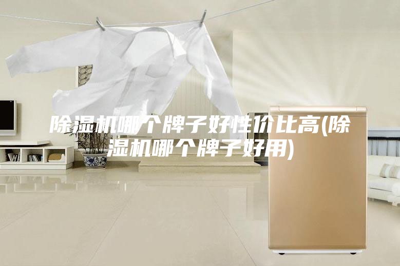 除濕機(jī)哪個牌子好性價比高(除濕機(jī)哪個牌子好用)